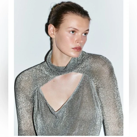 ZARA METALLIC THREAD MESH DRESS LIMITED EDITION - Picture 6 of 12